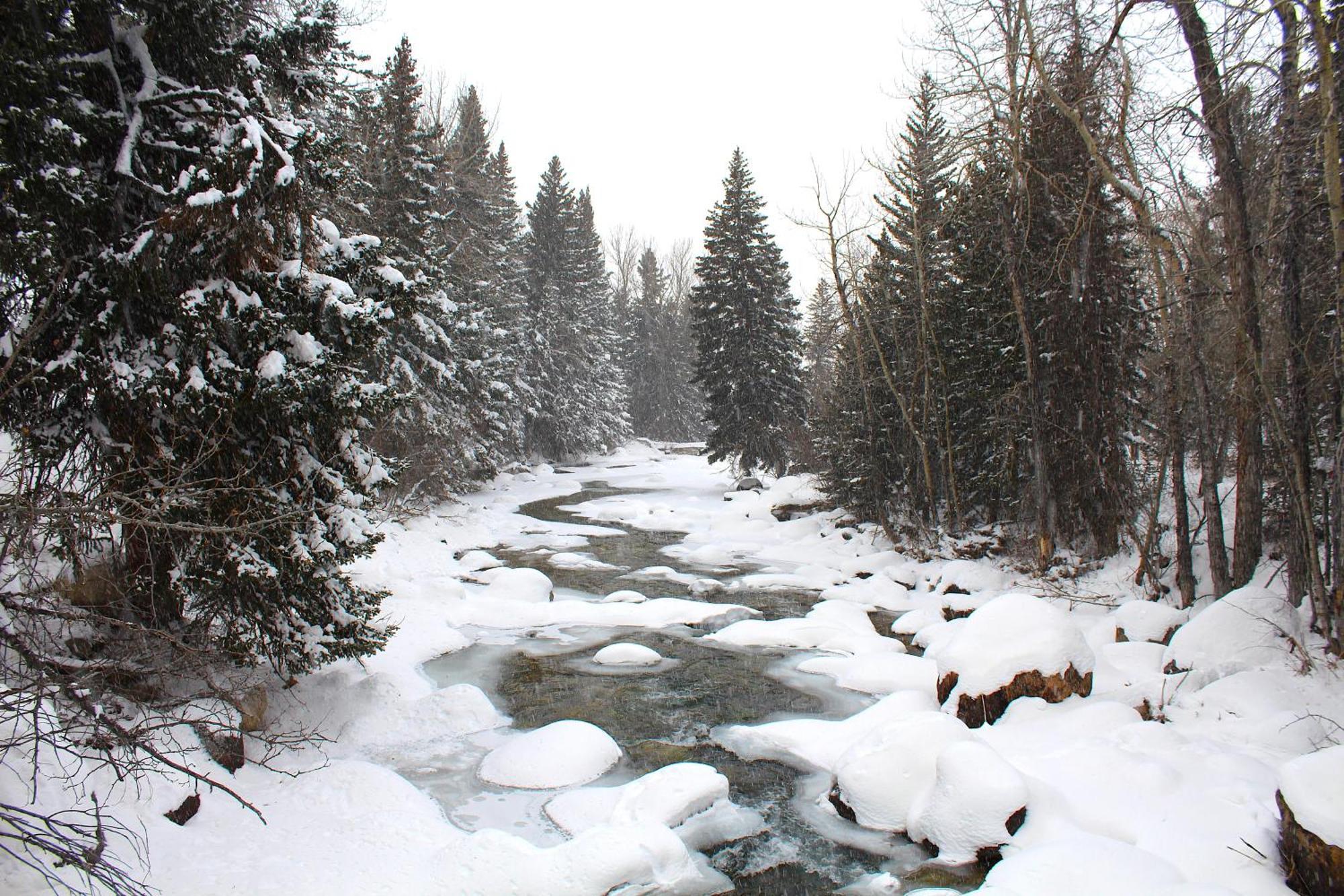 Rock Creek Resort Ред Лодж Екстериор снимка